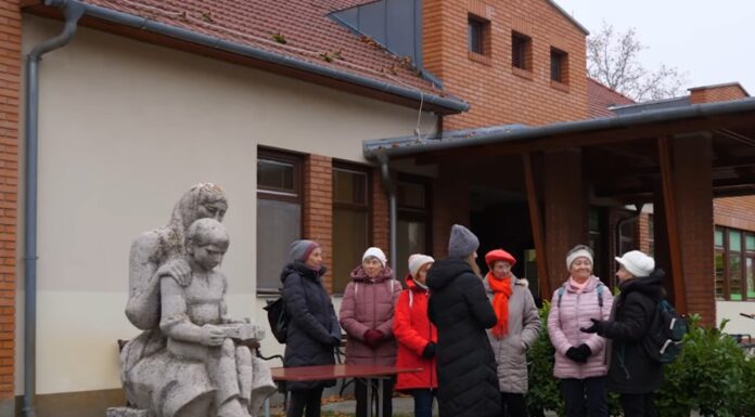 A Mórahalmi Egészségfejlesztő Iroda közös sétát szervezett – videó