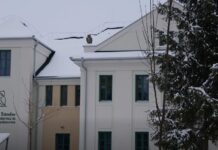 A Versenyképes járások program támogatásával újult meg a röszkei művelődési ház tetőszerkezete – videó