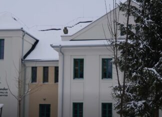 A Versenyképes járások program támogatásával újult meg a röszkei művelődési ház tetőszerkezete – videó