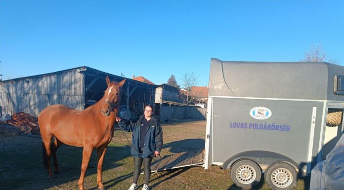 Új „taggal”bővült a lovas polgárőrség Ásotthalmon