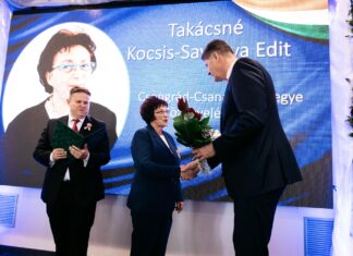 Mórahalmi díjazott a vármegye kitüntetettjei között