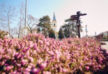 A turisztikai ágazat kiválóan teljesített 2025-ben Mórahalmon – A folyamatos fejlesztés a biztos növekedést segíti