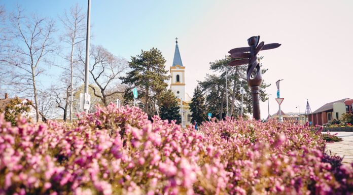 A turisztikai ágazat kiválóan teljesített 2025-ben Mórahalmon – A folyamatos fejlesztés a biztos növekedést segíti