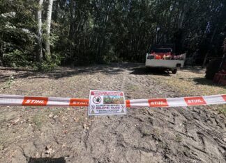 Megkezdődött a fakitermelés a Zsombói Nagyerdőben – galéria