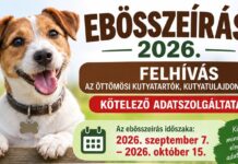 Fontos határidő közeleg az öttömösi kutyatartóknak