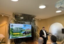 Kilátók, gólyamenedékház és látogatóközpont is épült Mórahalmon – fotók